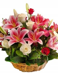 flowers of Mother's day